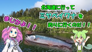 【北海道】然別湖の宝石！！ミヤベイワナを狙うのだ！！【ずんだもん×四国めたん】