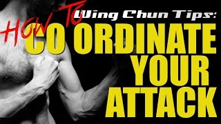 Wing Chun Techniques | How to Coordinate your Attack
