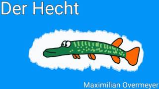 Der Hecht