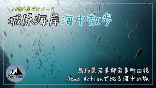 『水中撮影』抜群の透明度‼︎ 夏の城原海岸を潜って撮影してきたよ。