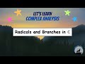 (CA04) Radicals and Branches