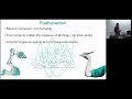Posthuman City Making in the Age of Artificial Intelligence - Federico Cugurullo