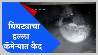 Nashik |नाशिकच्या कळवण परिसरात पुन्हा बिबट्याचा वावर,घराजवळ लावलेल्या CCTV कॅमेऱ्यात बिबट्या कैद-TV9