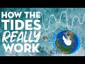 How the tides REALLY work