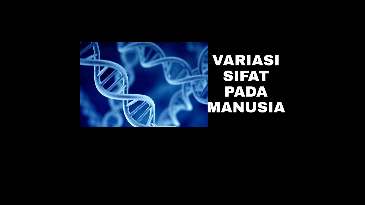 VARIASI SIFAT PADA MANUSIA (B) - YouTube