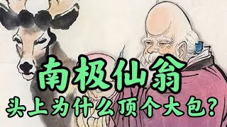 #南极仙翁 的头上为什么顶个大包？ #历史 #传统文化 【北大老杨说文博】