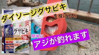 愛知県知多半島でアジ釣れてます。ダイソーのジグサビキで簡単に釣れますよ【新舞子】