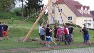 Maibaum 2013 Heiligenkreuz i/l