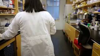 For Good: Making Medicine Accessible to Everyone