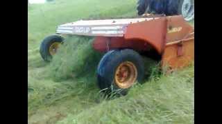 Ford 7610 Mowing with a taarup 307