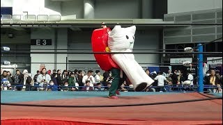 にゃーちゃ、vs.トマト人間(2018-12-31 ご当地キャラRIZIN)