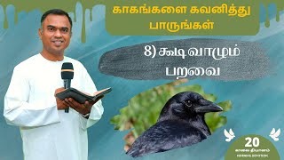 8 - கூடி வாழும் பறவை || Tamil Morning Devotion || sam g