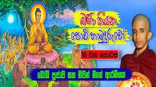 බෝධි පූජාව සහ නිවන් මගේ ආරම්භය... || Part 16 || Siwhela TV