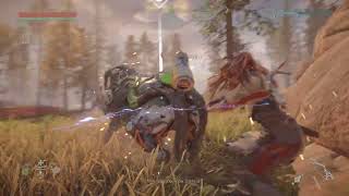 Horizon Zero Dawn/ Prep for the Proving