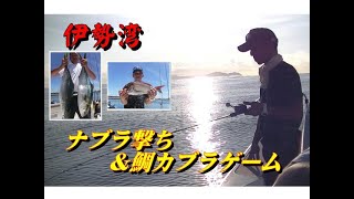 【海釣り情報】鳥山の下にいる大型青物と真鯛を狙う！