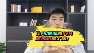 让FIL暴涨的虚拟机FVM是个啥？#fil #FVM