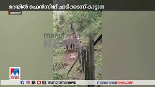 വയനാട്ടില്‍ റെയില്‍ ഫെന്‍സിങ് ചാടികടന്ന് കാട്ടാന| Wayanad| Wild Elephant