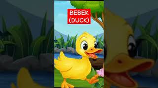 Ini Adalah Bebek Paling Lucu #shorts #shortvideo #trending #bebek #belajar #bebeklucu