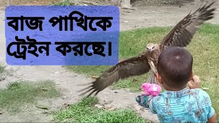 বাংলাদেশে এখন বাজ পাখিকে প্রশিক্ষন দেওয়া হচ্ছে। bd eagle hunter.. sh mehad#falcon#bdeh