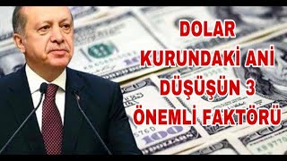 DOLAR KURUNDAKİ ANİ DÜŞÜŞÜN 3 ÖNEMLİ FAKTÖRÜ!