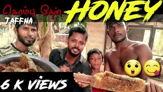 கொம்பு தேன் (கொப்பான் தேன்)| Kombu then | சிறப்பான சம்பவங்கள் | Honey 🐝🐝🍯😲👍👍💪🇱🇰