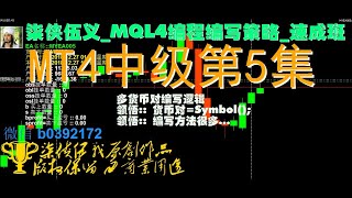 Mql4编程编写_mt4ea_中级速成班课程_柒侠伍义 第5集 简单编写多货币对