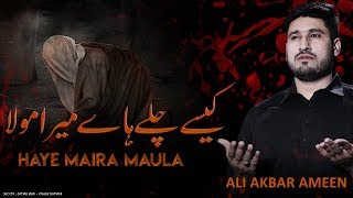 Noha Imam Sajjad (as) - Kasy Chaly Haye Mera Mola - Ali Akbar Ameen New Noha 2019 - 25 Muharram