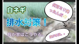 【排水対策】大雨降った後の我が家の排水対策！水没した圃場を死守！