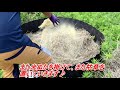 雑草堆肥づくり【farm making 14】　 畔板 雑草堆肥づくり