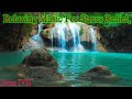 🔴 Relaxing Music 24/7, Sleep Music, Stress Relief Music, Zen, Meditation Music, Study Music,