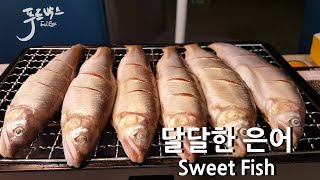 달달한 수박향 은어~ Sweet Fish~ 지금이 제철이에요(Feat.생선 좋아하는 댕댕이)