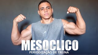 PERIODIZAÇÃO DE TREINO DO JEITO FACÍL - Projeto Fitness Em 70 Dias