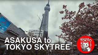 Walking from ASAKUSA to TOKYO SKYTREE - 4K TOKYO POV