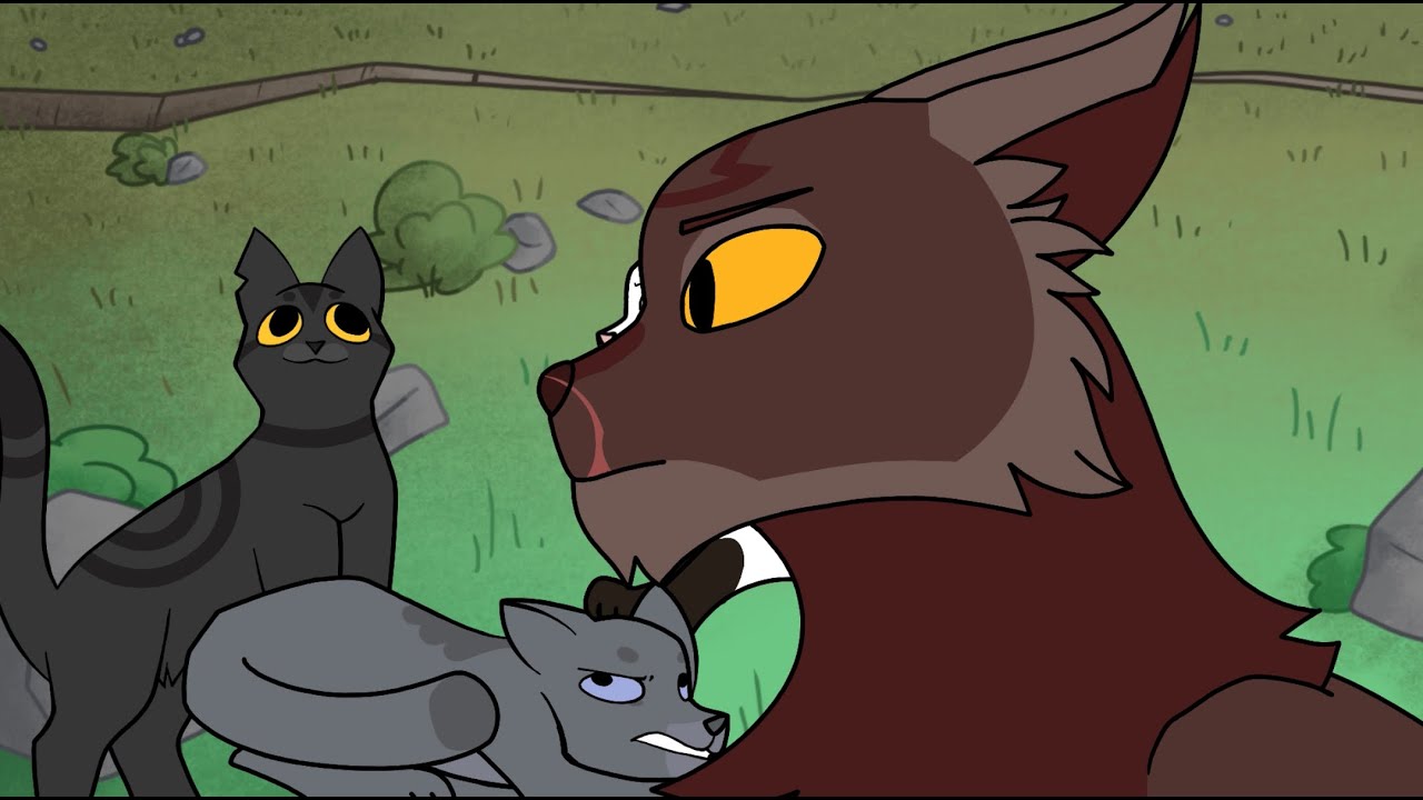 16 Cold Darkstripe And Tigerstar Warriors Map Youtube