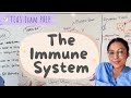 TEAS 7 Exam The Immune system Easy breakdown