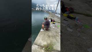 ちっちゃい見えイカの釣り方を教えます #vlog #fishing #キャンプ #funny #サバイバル #travel #サバイバル生活 #camping #大学生