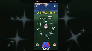 色違豆豆鴿✨！就是帥氣#pokemon #pokemongo