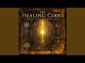 Renewal Code - 528 Hz Harmonic Flow
