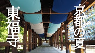 【京都の夏】東福寺の青もみじ/勝林寺の花手水を巡るvlog【4K】