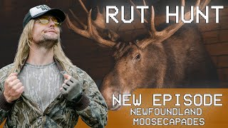 Rut Daniels Moose Hunt - Newfoundland Moosecapades