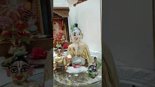 mera laddu gopal mera laddu gopal #laddu #ladoogopal #shortsvideo