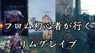 エルデンリングPART 4　フロム初心者が行く【リムグレイブ】