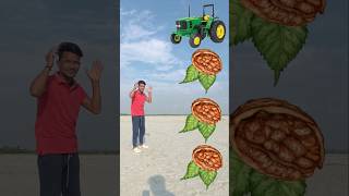 Rounding cut leaf walnuts to Alto, Rollar, Jcb \u0026 Tractor - Vehicles names magic video