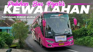 PULUHAN BUS NYARIS KEWALAHAN DI TANJAKAN SUNAN MURIA