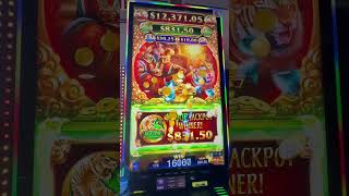 Tiger Lord Imperial 88 #Major #slots  #wyoming #lucky #casino