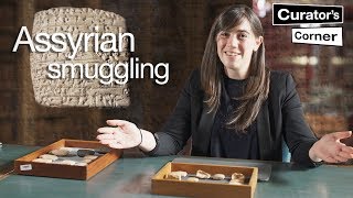 A 4,000-year old tale of trade and contraband I Curator's Corner S3 Ep9 #CuratorsCorner