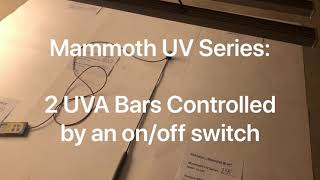 Fluence Bioengineering  Led vs Mammoth Lighting Par Test