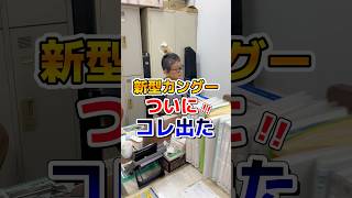 【新型カングー】ついにコレが発売されます！乗ってみたい‼️お値段もお手頃？【ルノー車専門店】#renault #kangoo#新型#フランス車 #ドデカングー#ユーロフランセ#shorts