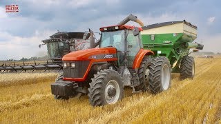 Big AGCO Wheat Harvest: Combine, Bale, Plant, Spray