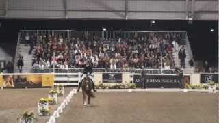 Patrik Kittel Kur - World Dressage Masters 2013